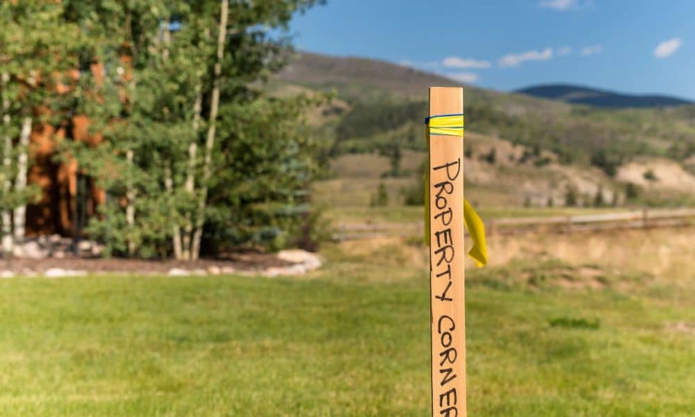 Property line marker with a yellow flag standing in a grassy area with trees and a cleared patch of ground nearby