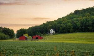 Rural homesite on sloping farmland with perc test results influencing septic planning and house placement