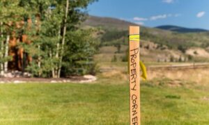 Property line marker with a yellow flag standing in a grassy area with trees and a cleared patch of ground nearby